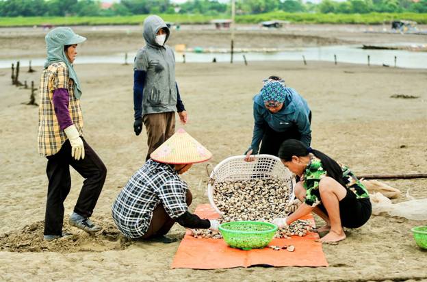 Ảnh có chứa ngoài trời, mặt đất, trang phục, người

Mô tả được tạo tự động