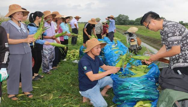 Ảnh có chứa trang phục, người, ngoài trời, bầu trời

Mô tả được tạo tự động