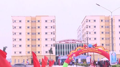 dt1.JPG