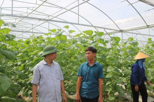 1. Lê Ngọc Nam- chủ mô hình sản xuất  nông nghiệp  công nghệ cao (áo xanh xẫm) đang trao đổi về mô hình với đồng chí Bí thư huyện ủy- Lê Xuân Thu.JPG