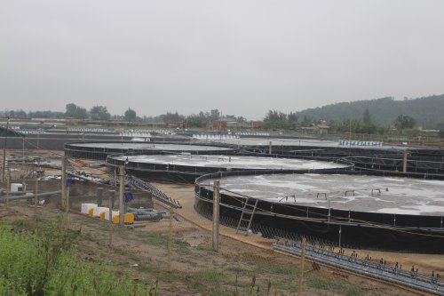 Mô hình nuôi tôm công nghiệp tại Hoằng Yến và Hoằng Hải (2).JPG