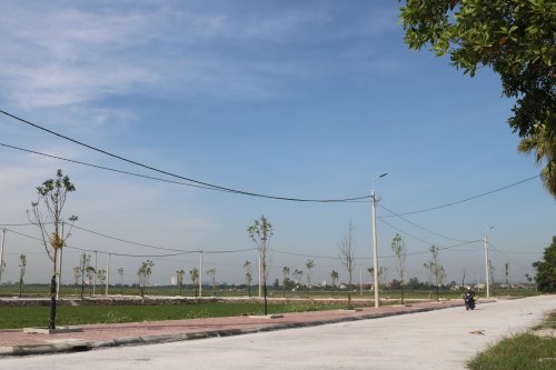 3. Đường điện và đường cây xanh bóng mát của xã Hoằng Lộc.JPG
