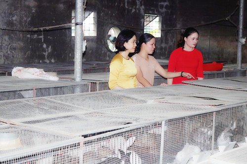 3. chị Kim đưa Chủ tịch Hội PN huyện Hoằng Hóa- Hoàng Thị Định (áo mầu vàng) và CT HPN xã Hoằng Thái thăm khu nuôi Thỏ của gia đình.jpg