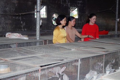 Chị Hoàng Thị Định CT HPN thăm mô hình nuôi thỏ của  hội viên PN xã Hoằng Thái.jpg