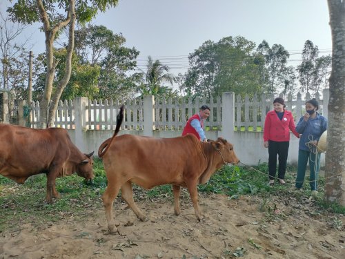 2. Trao bò giống cho ngư dân nghèo tại thôn An Lạc.jpg