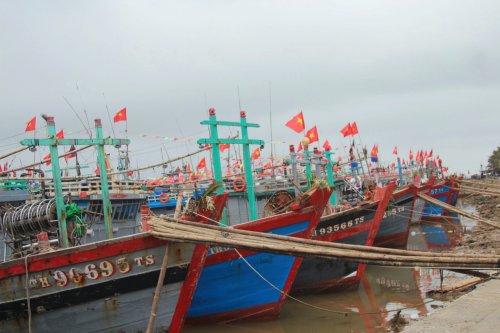 5. Tàu của ngư dân xã Hoằng Trường sẵn sàng cho những chuyến vươn khơi bám biển đầu xuân GiápThìn 2024..jpg