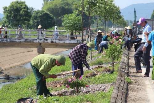 2. Đường cây hoa giấy được trồng trên địa bàn xã Hoằng Xuân..JPG