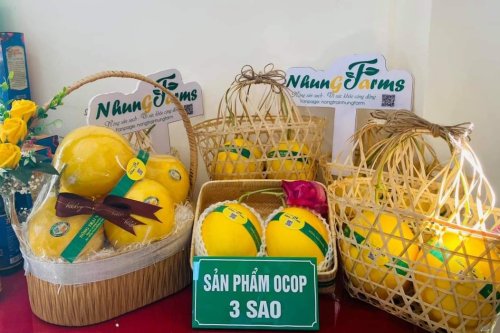 1. Dưa vàng của Nông trại Nhungfarms trên phần mềm kết nối cung cầu nongsanantoanthanhhoa.vn.jpg