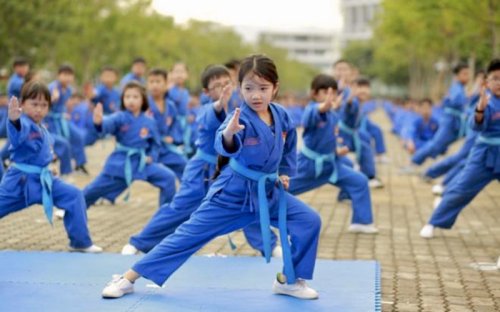 vo-Vovinam-0 2.jpg