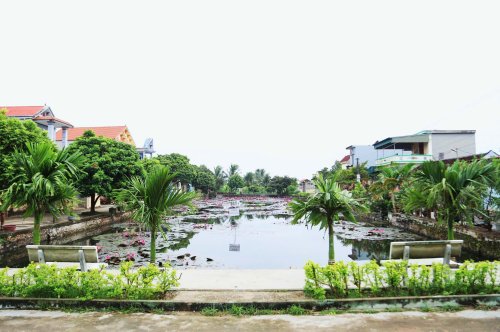 3. Ao sinh thái thôn Phượng Mao, xã Hoằng Giang, huyện Hoằng Hóa..jpg