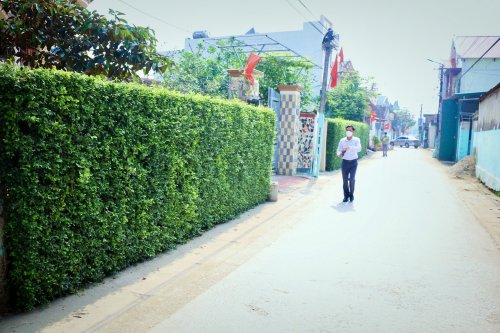Tường rào xanh thôn Trinh Phúc xã Hoằng Giang.jpg