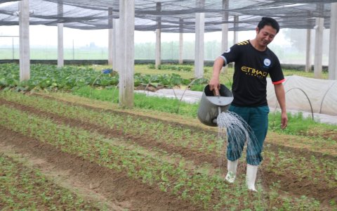 Thanh niên Lê Đình Sỹ- khởi nghiệp từ mô hình rau an toàn