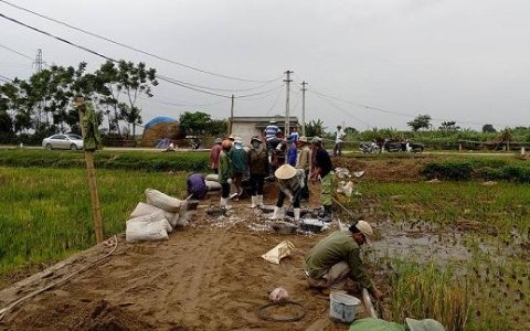 Thôn 3 Kim Sơn xã Hoằng Kim làm đường giao thông nông thôn