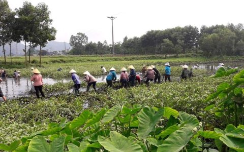 Hoằng Kim – tích cực thực hiện công tác thủy lợi mùa mưa 2019